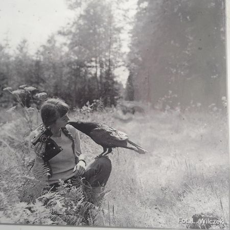 In Nature Białowieża 외부 사진