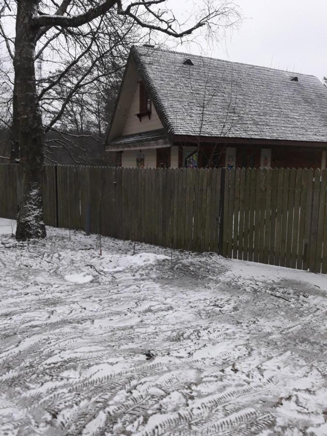 In Nature Białowieża 외부 사진