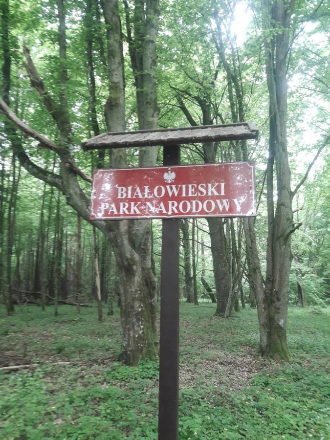 In Nature Białowieża 외부 사진