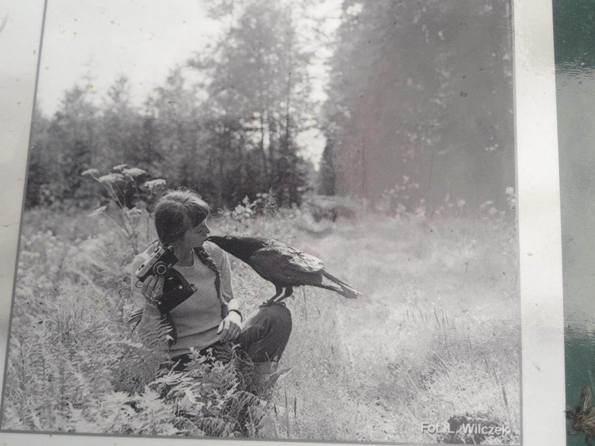 In Nature Białowieża 외부 사진