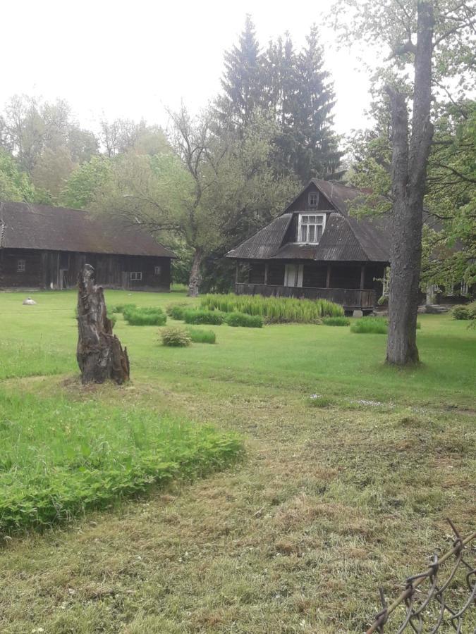 In Nature Białowieża 외부 사진