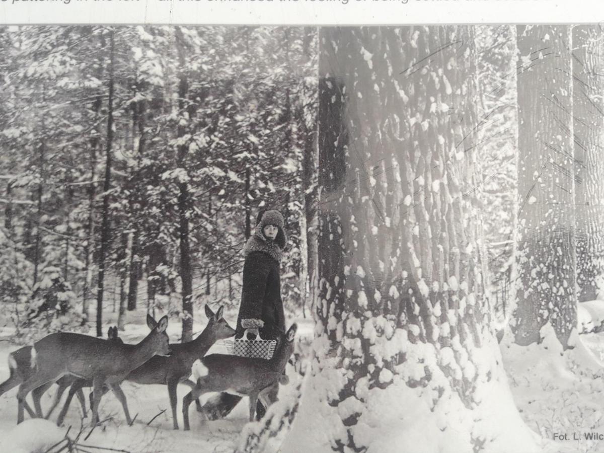 In Nature Białowieża 외부 사진