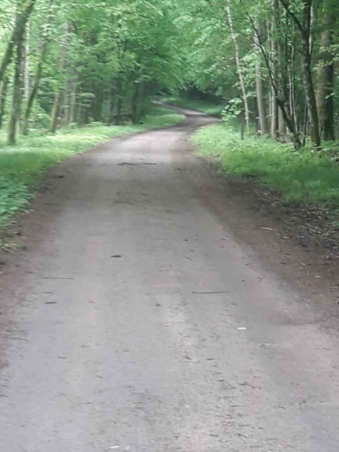 In Nature Białowieża 외부 사진