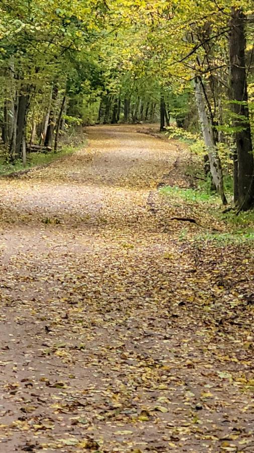In Nature Białowieża 외부 사진